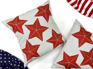 Pillow Cover/Freedom